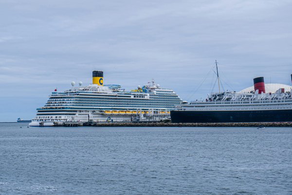 What are the best practices for experiencing UK wildlife respectfully and sustainably?